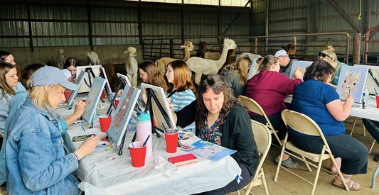 Painting with Alpacas